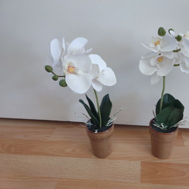 Künstlich Orchideen 