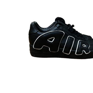 Nike FLEA air force