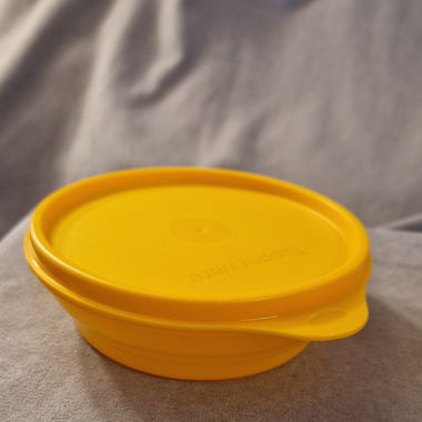 Bol de conservation 240 ml Neuf Tupperware 