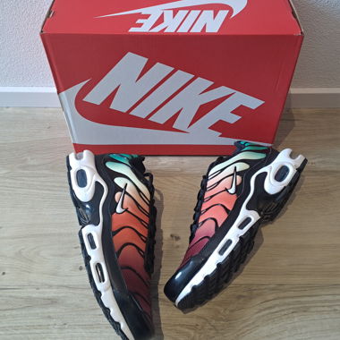 Nike Air Max Plus Rainbow
