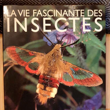 La Vie Fascinante des Insectes