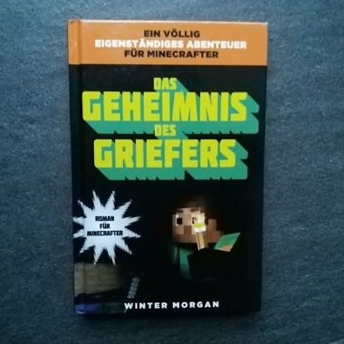 Minecraft Winter Morgan Book