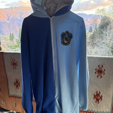 Carnevale - costume Corvonero