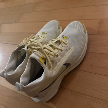 Nike Pegasus Trail 5 GORE-TEX trail shoes