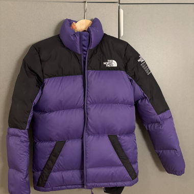 The North Face Down Jacket/Vest
