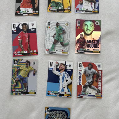 Panini FIFA Card Set