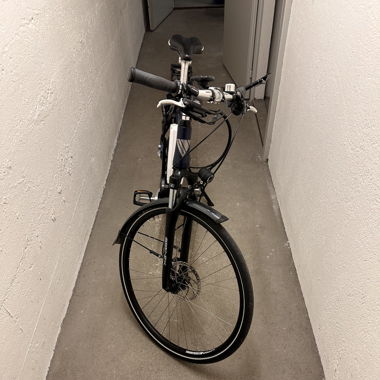 WHEELER E-Bike - nur 880 km gefahren