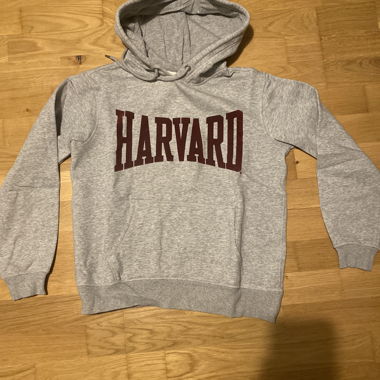Harvard Hoodie