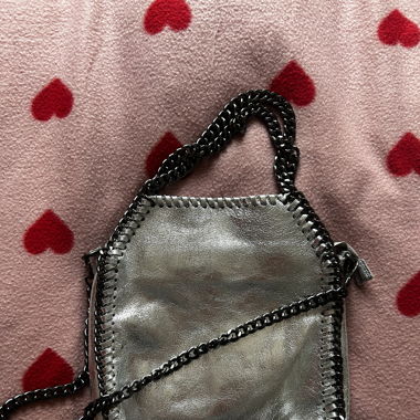 Silver Bag