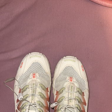 Chaussure Salomon 