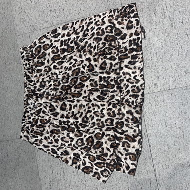 Rock von Zebra