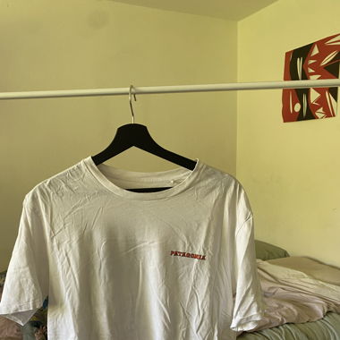 Patagonia T-shirt