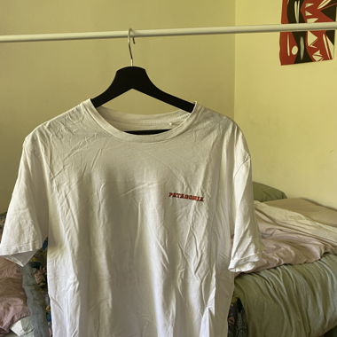Patagonia T-shirt