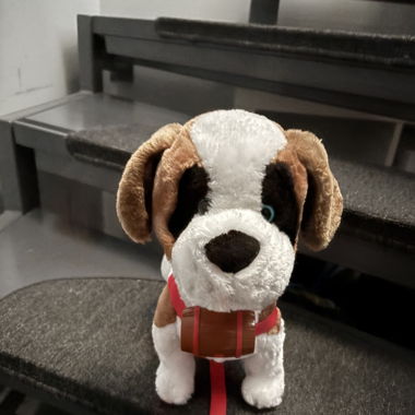 Chien électrique 