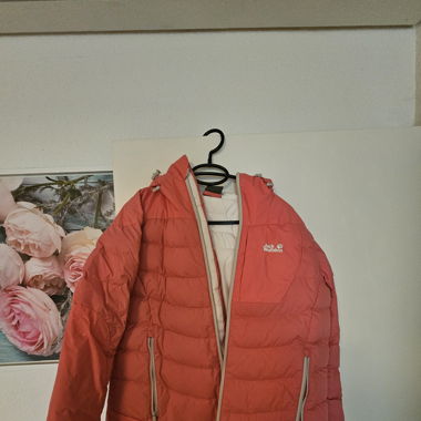 Jack wolfskin
