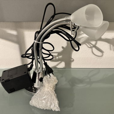 Double reading lamp with clip