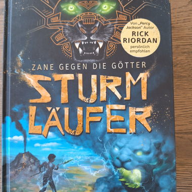 Libro Sturmlaeufer