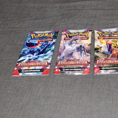 Pokémon Artset Évolution à Paldea Français 