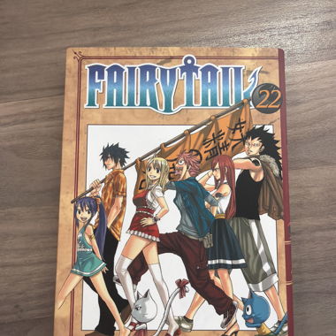 Manga Fairy Tail volume 22