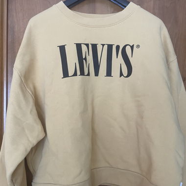 Levi’s sweater 