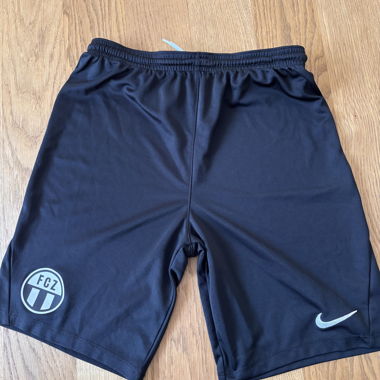 Shorts Nike FCZ