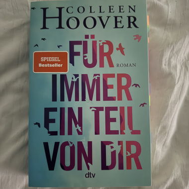 Colleen Hoover: Für immer ein Teil von dir