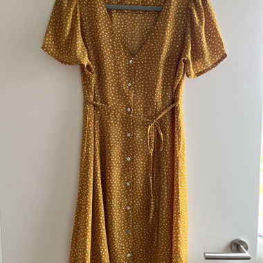 Mustard Polka Dot Dress (Only)