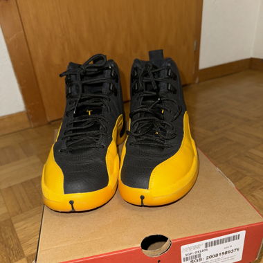 Air Jordan 12 Retro