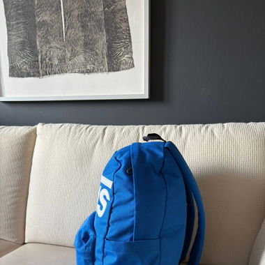 Vans Rucksack blau-weiss