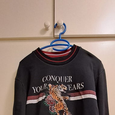 Pull Zara 