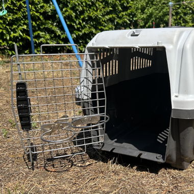 Boîte de transport pour animaux - IATA  
