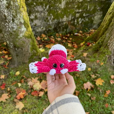 Ragno in stile dragon fruit