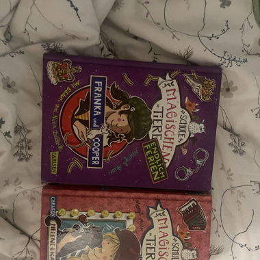 2 Schule der magischen Tiere Bücher 