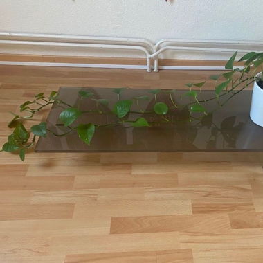 Sofatisch / Glastisch / Couchtisch