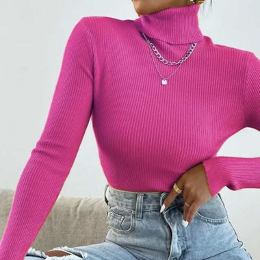 Pull col roulé 