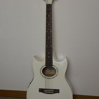 Guitar incl. accessories (case, tuner, etc.)