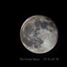 moonshop