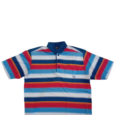 Polo Paul&Shark  / size M
