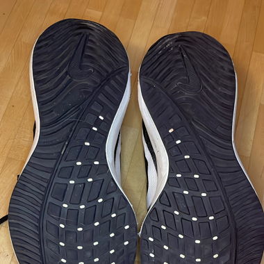 AIR ZOOM PEGASUS 41 - LAUFSCHUHE