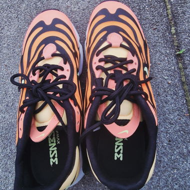Sneakers Nike Air Max Plus