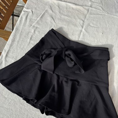 Zara Skort