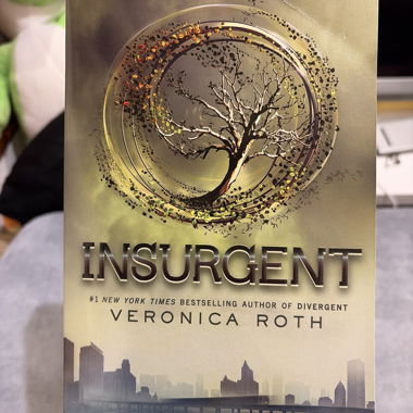 Livre Insurgent (version anglaise)