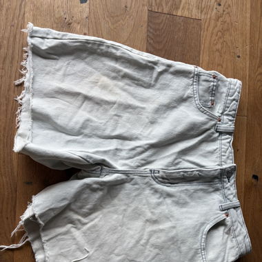 BDG Jorts