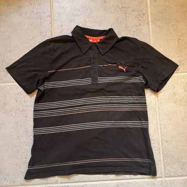 Polo Puma