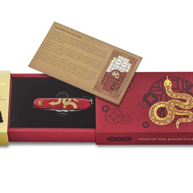 Year of snake