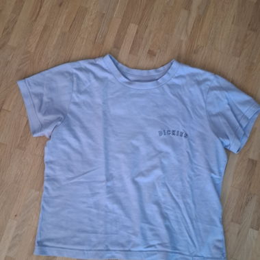 Dickies T-Shirt hellblau