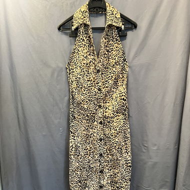 Zara Leo Kleid