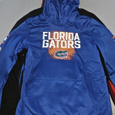 Sweat à capuche des Florida Gators
