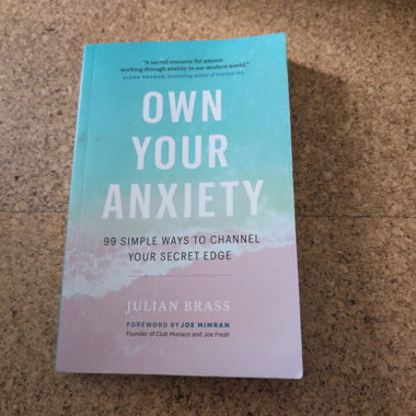 Livre Own Your Anxiety