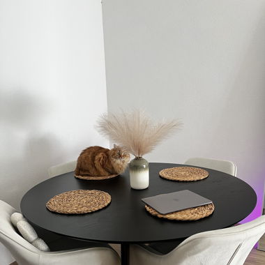 Table ronde 